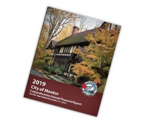 2019 CAFR COVER