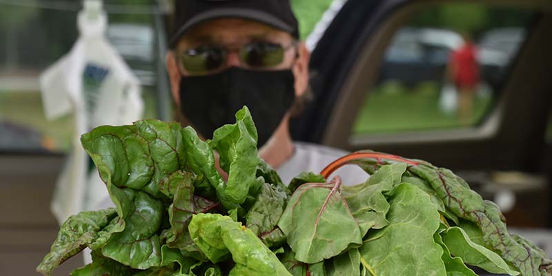 Masked Vendor at Mentor Farmers Market