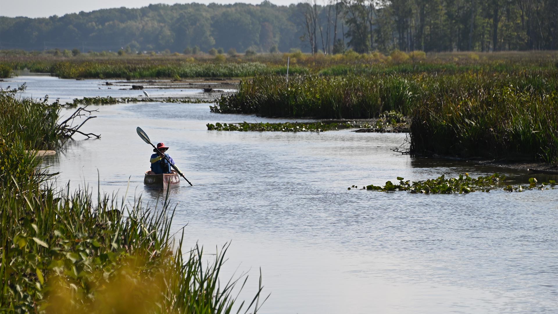 Mentor Marsh Kayaker