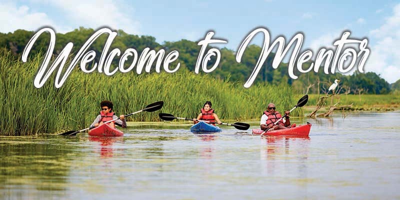 Welcome to Mentor