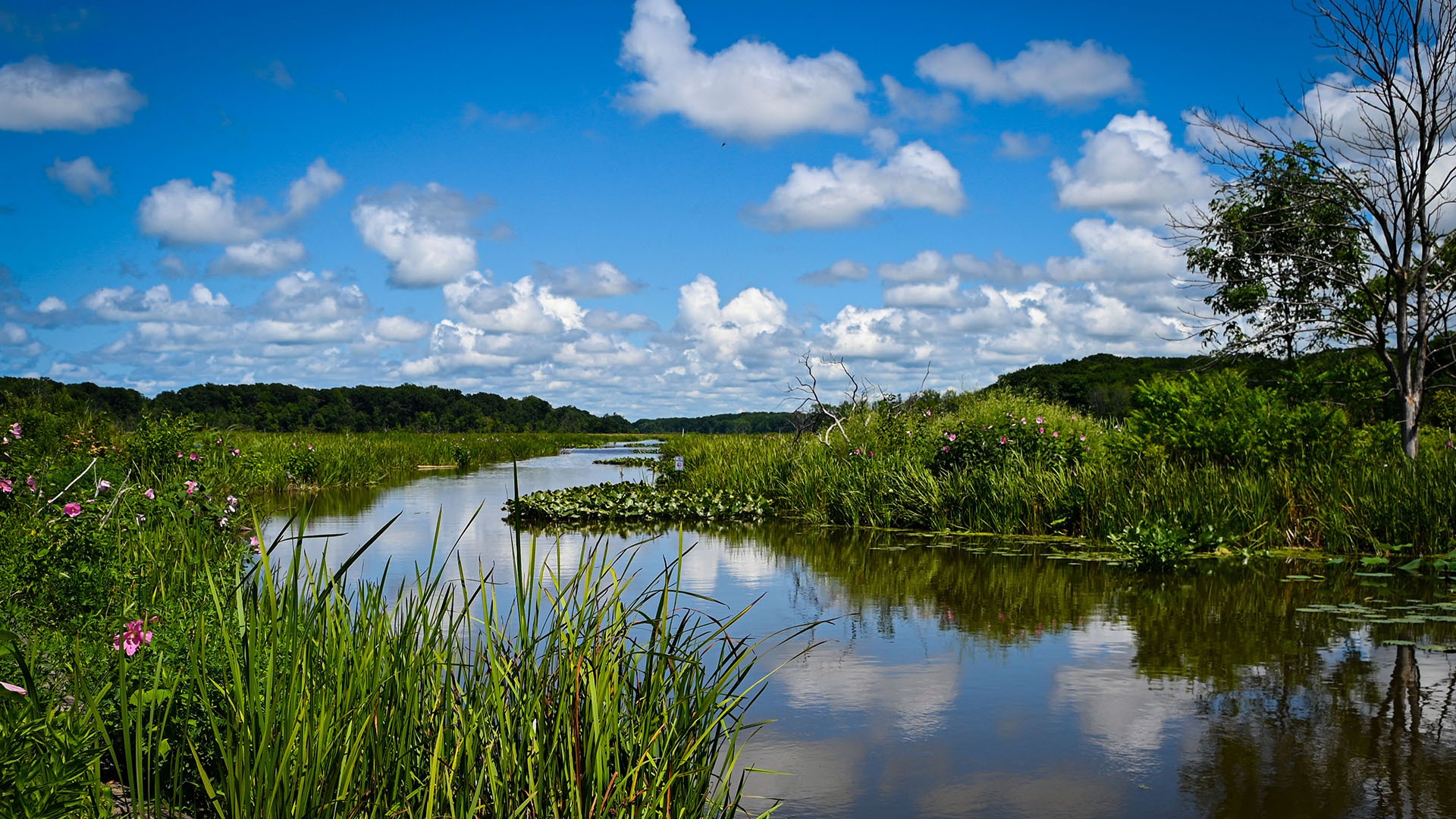 A view of the Mentor Marsh from the Mentor Lagoons Nature Preserve.