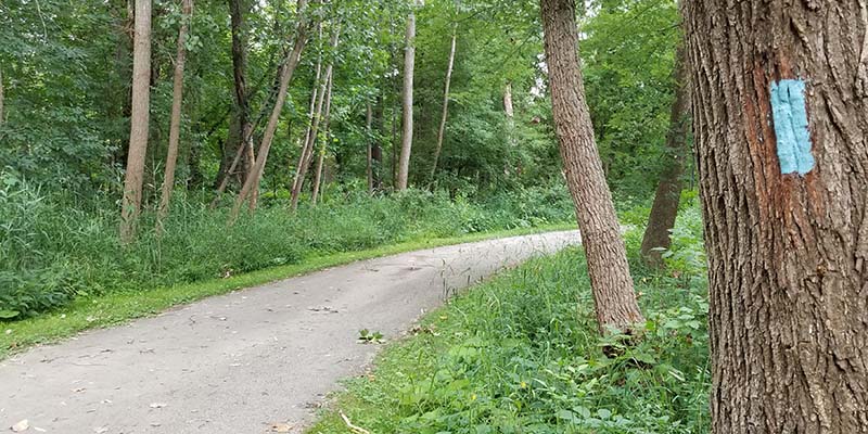 The Buckeye Trail is Marked with Blue Blazes