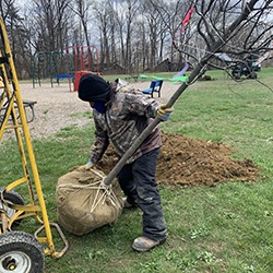 Person planting a tree
