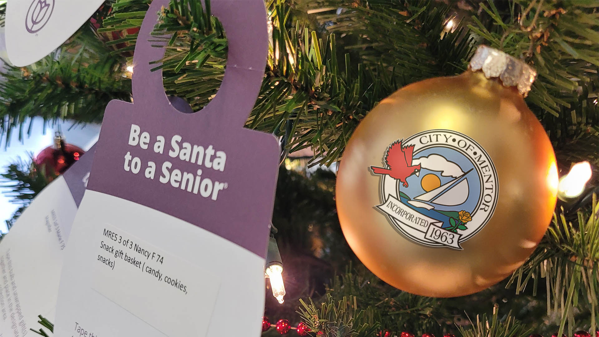 Be a Santa to a Senior