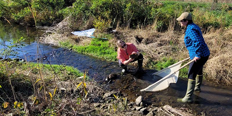 Biological Monitoring at Springbrook Gardens Park