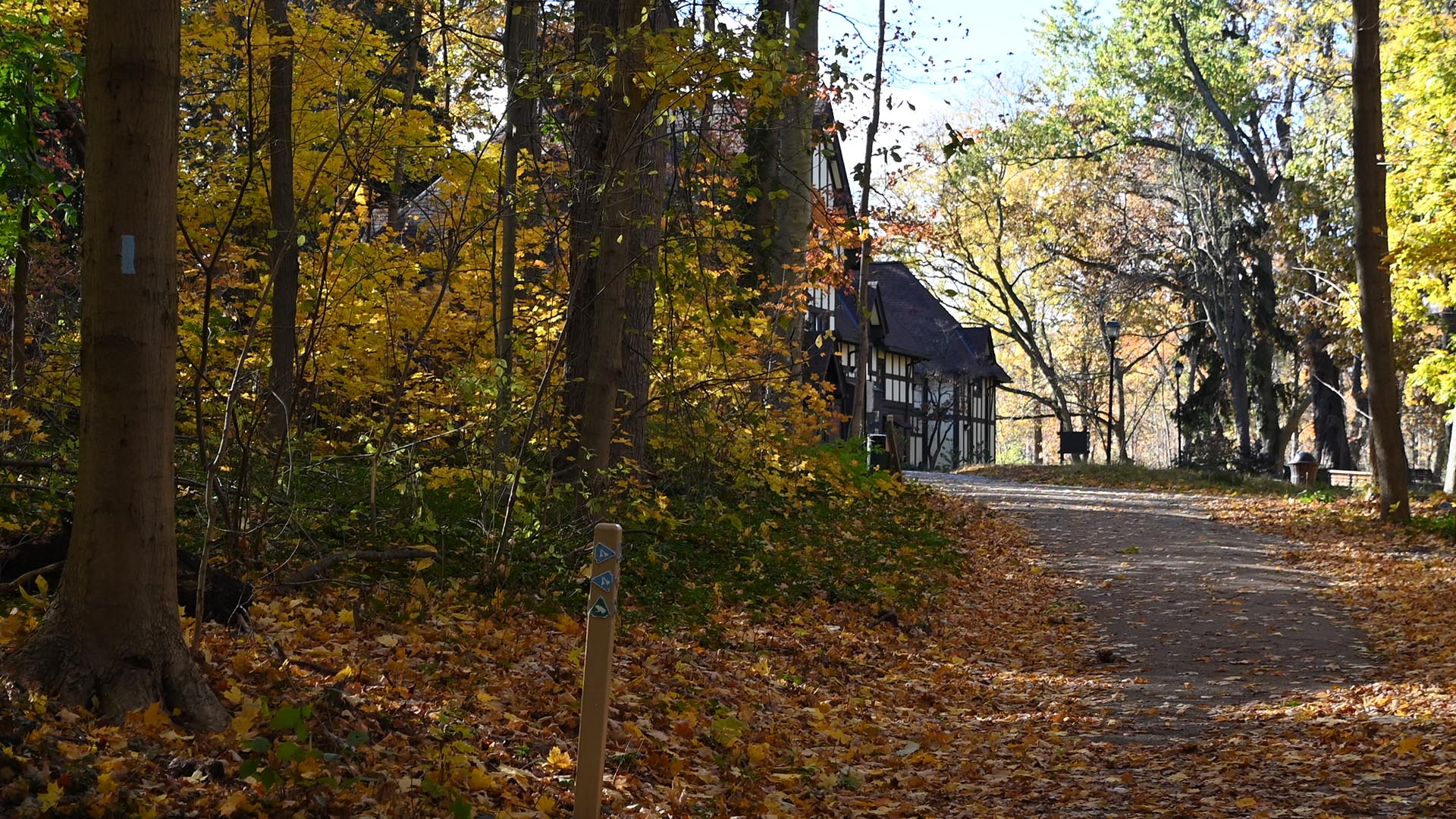 An image of the Buckeye Trail at Wildwood Cultural Center.