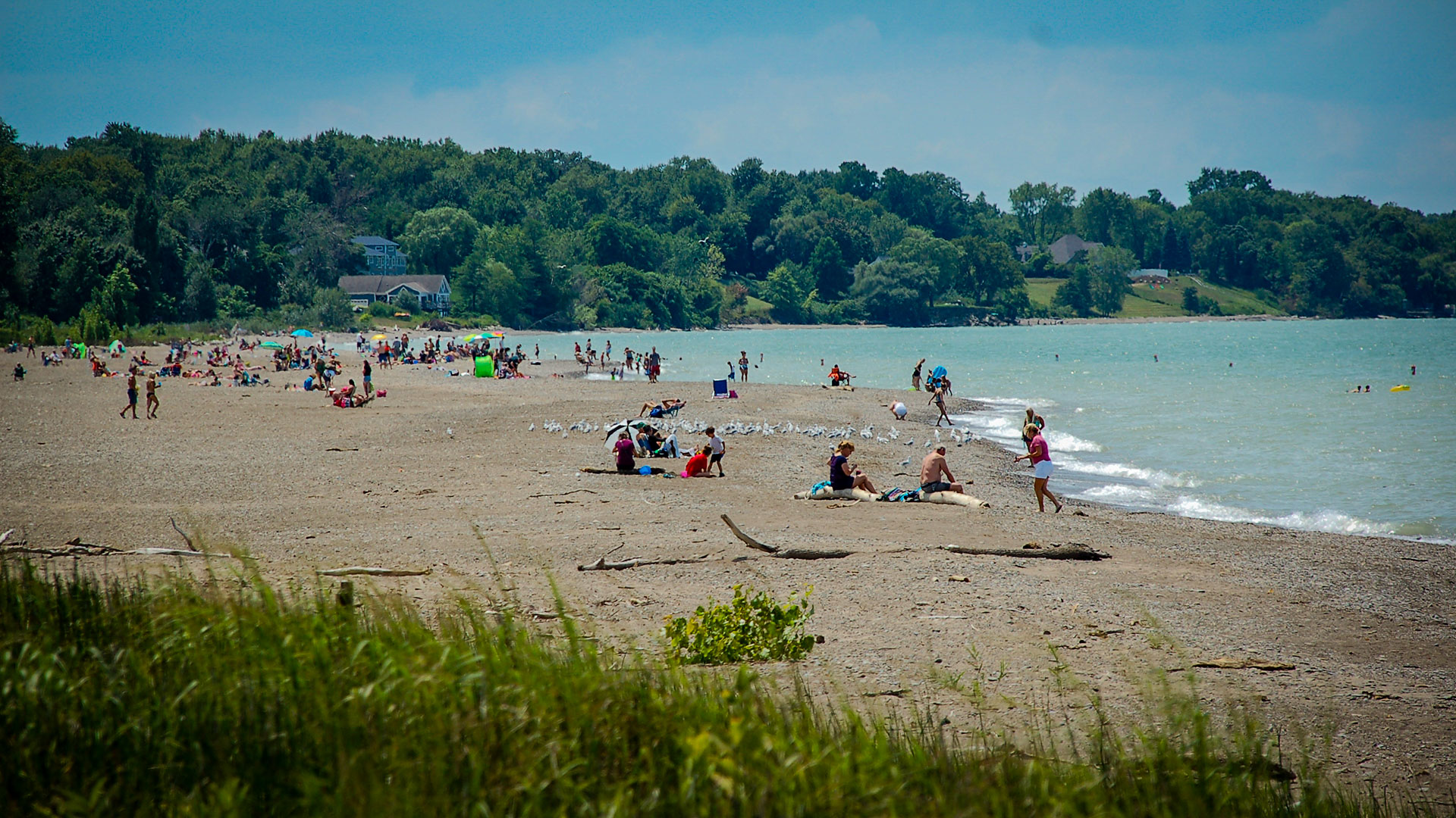 Bathers along the shore at Headlands Beach State Park.