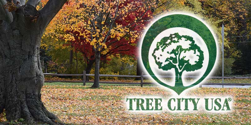 Mentor Arbor Day Foundation Tree City USA