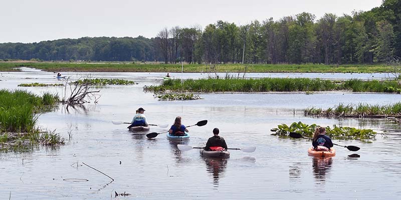 Mentor Marsh Kayakers