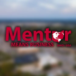 Mentor Means Business
