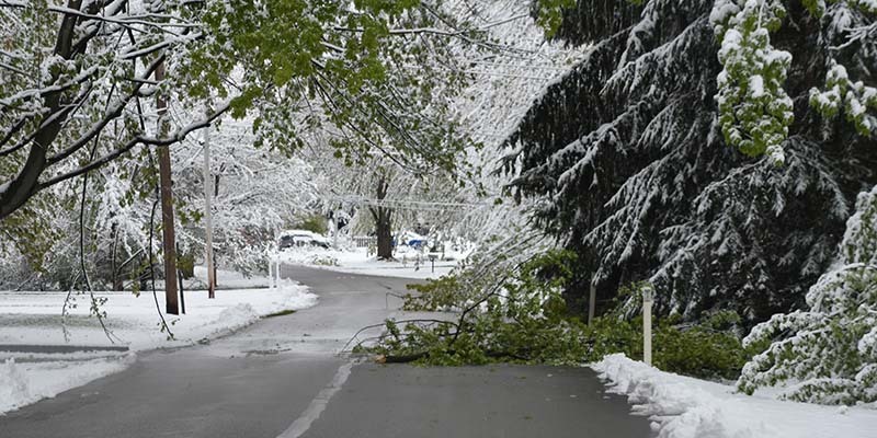 Mentor Storm Damage
