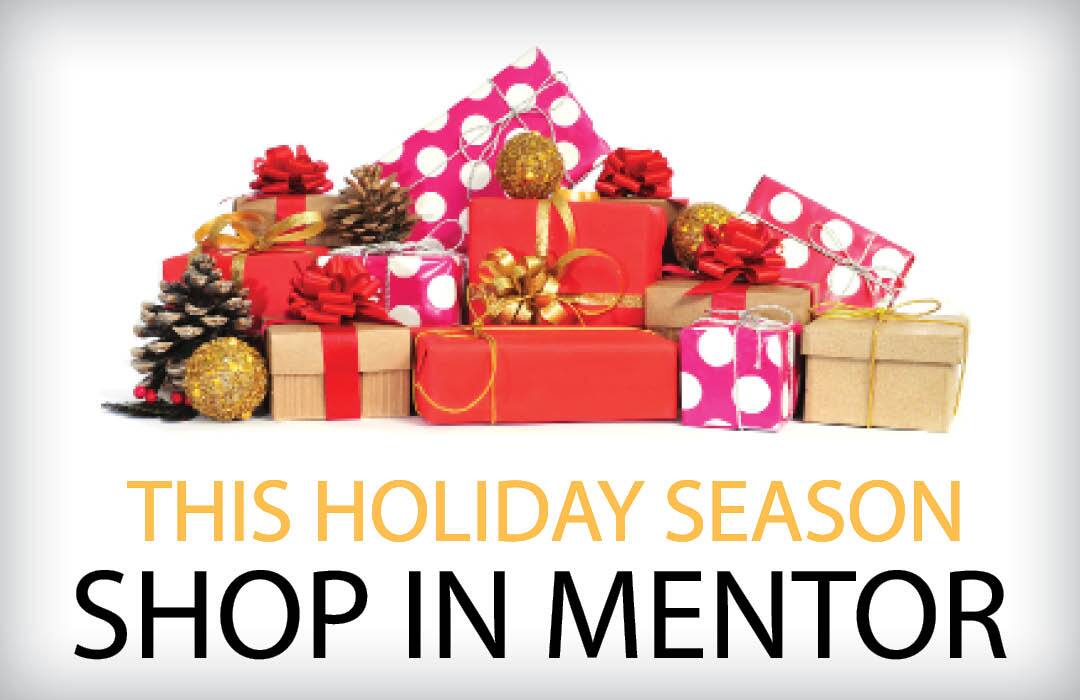 Click here to download a copy of the Mentor Visitor Guide.