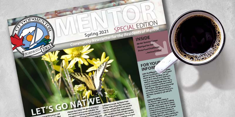 Spring 2021 Mentor Special Edition
