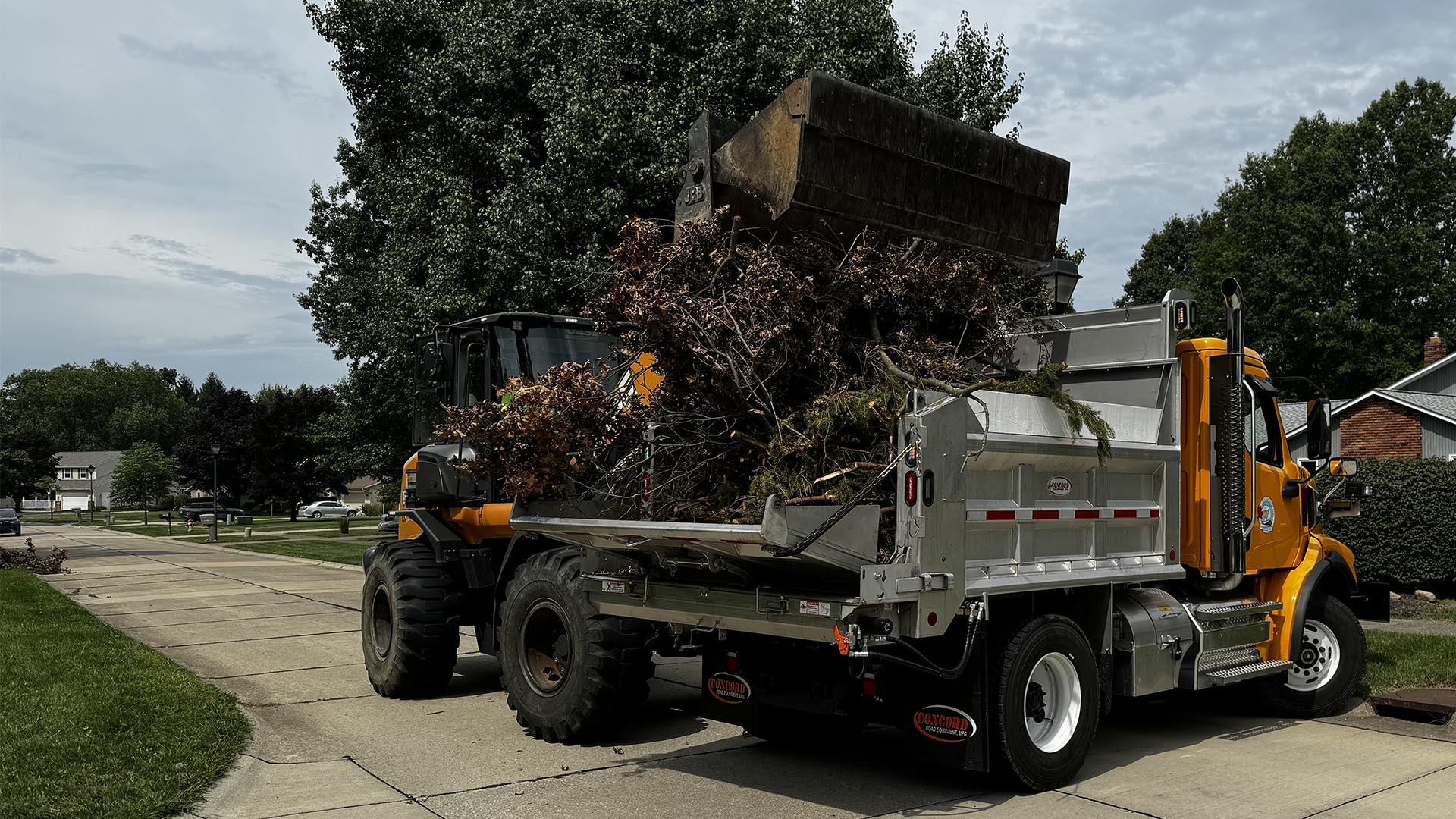 Storm Debris Cleanup in Mentor