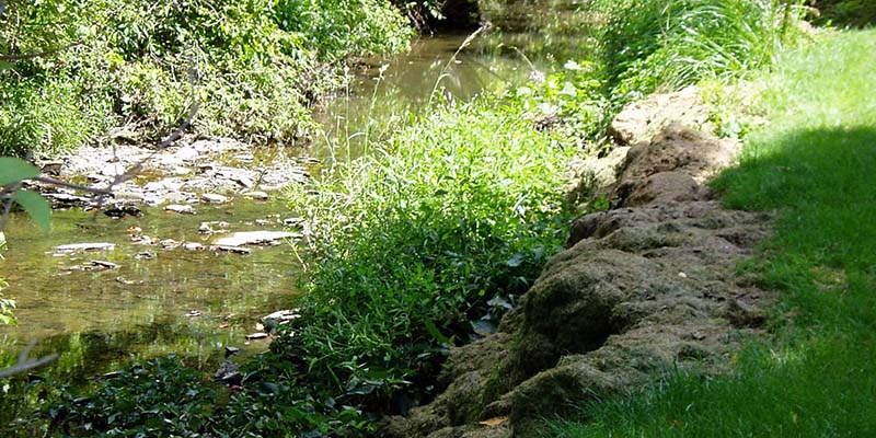 Stream Dumping