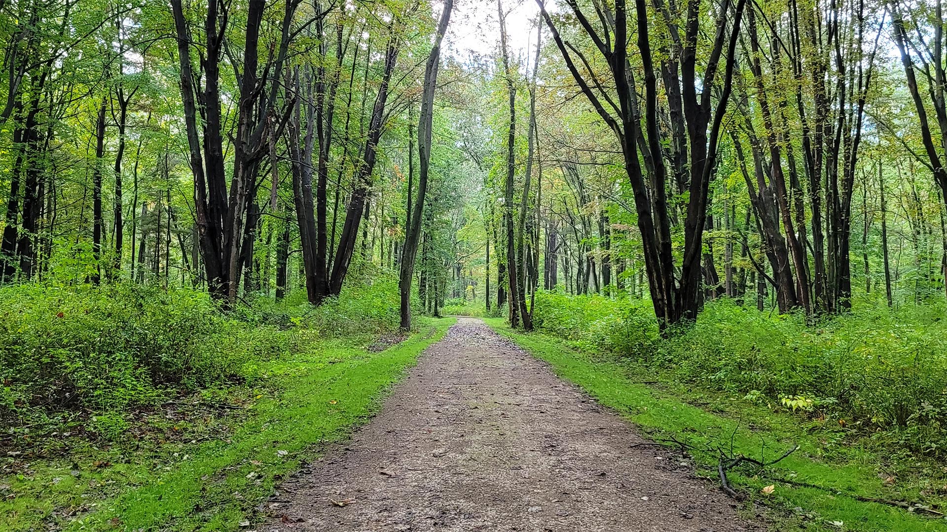 A trail at the Mentor Lagoons Nature Preserve.