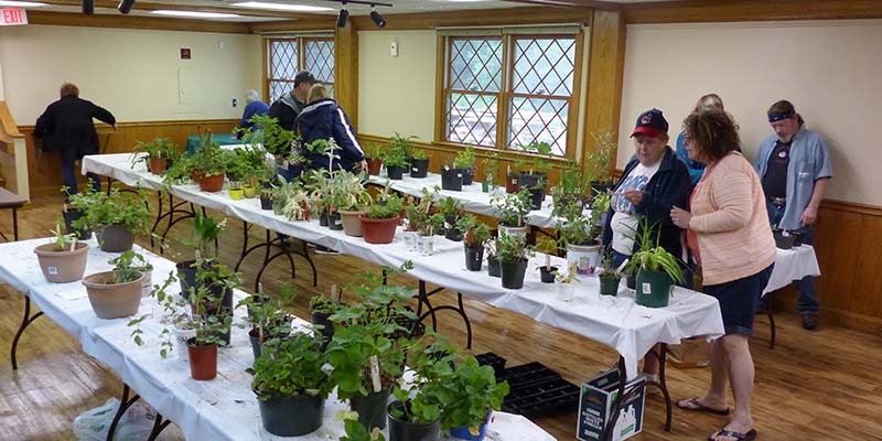 Wildwood Plant & Flower Sale
