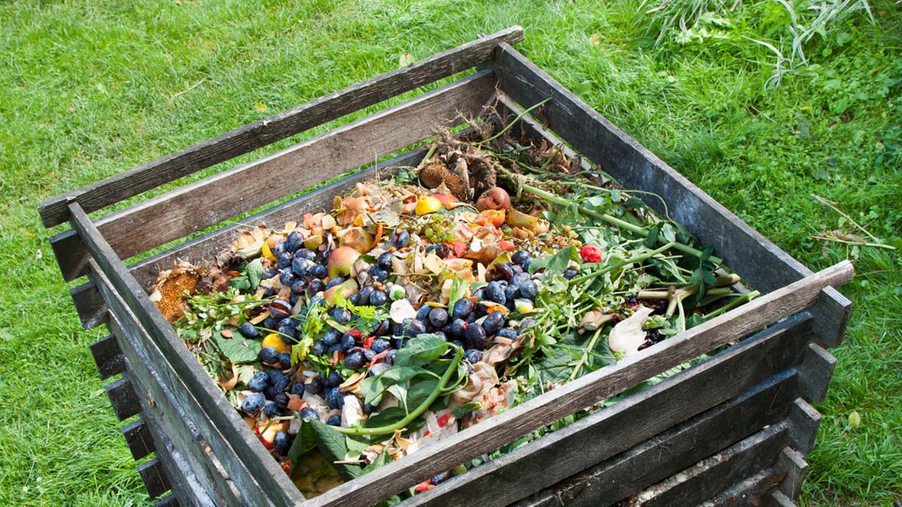 Yard Compost Bin