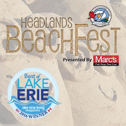 beachfestbest250