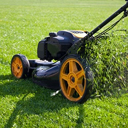 Mowing the lawn