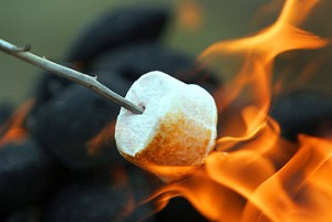 toasted-marshmallow-day