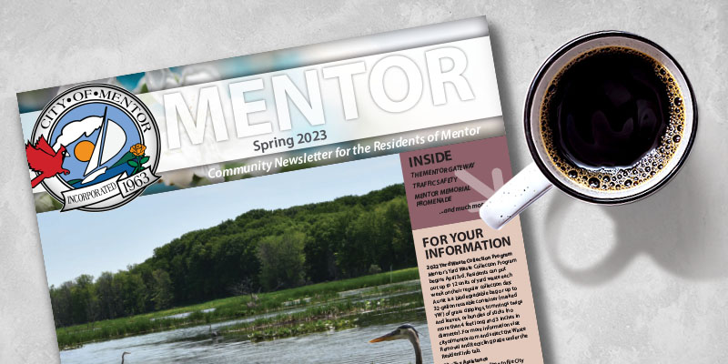 Mentor Special Edition Web Header - Spring 2023