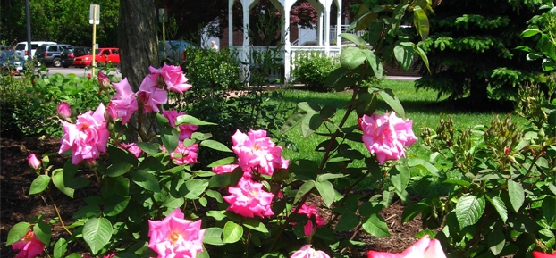 mentor-commemorative-rose-garden