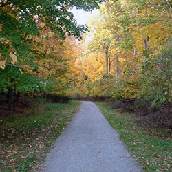 mentor-lagoons-nature-preserve-250