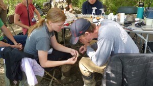 Bird Banding at Mentor Lagoons Nature Preserve