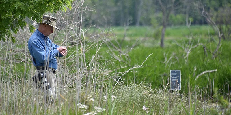 Birder at Mentor Lagoons Nature Preserve