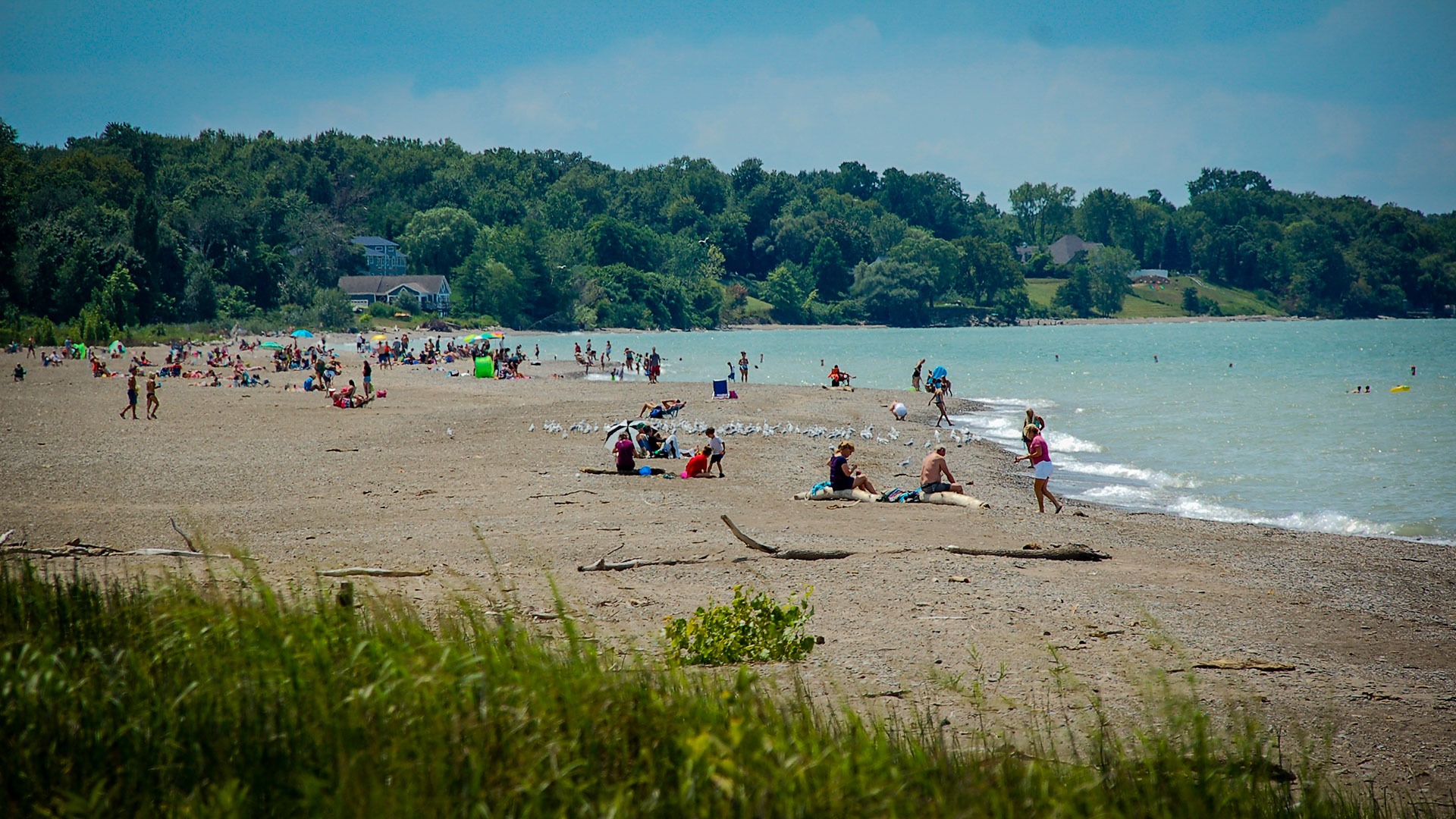 Bathers along the shore at Headlands Beach State Park.