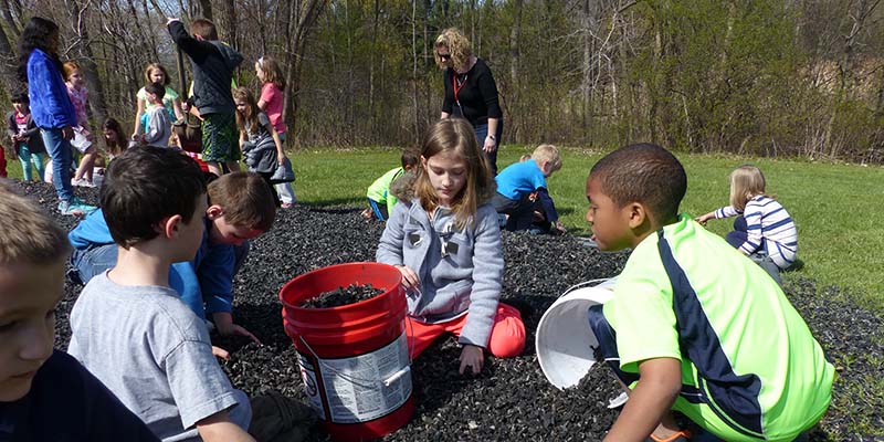 Keep Mentor Beautiful