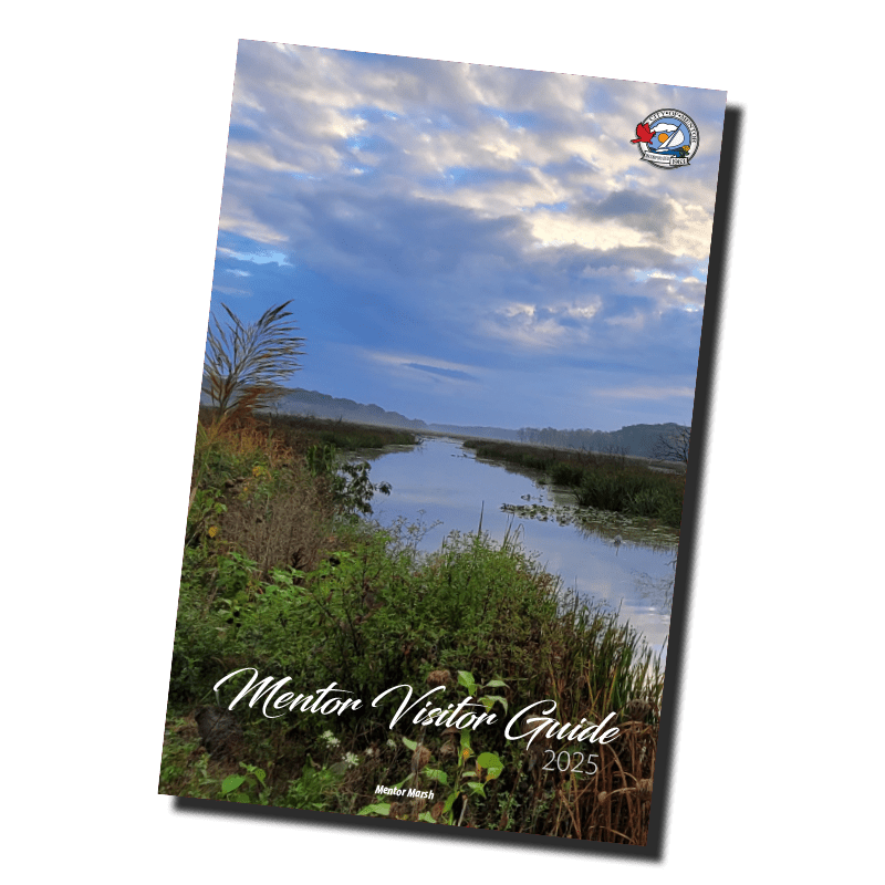 An image of the front cover of the 2025 Mentor Visitor Guide.