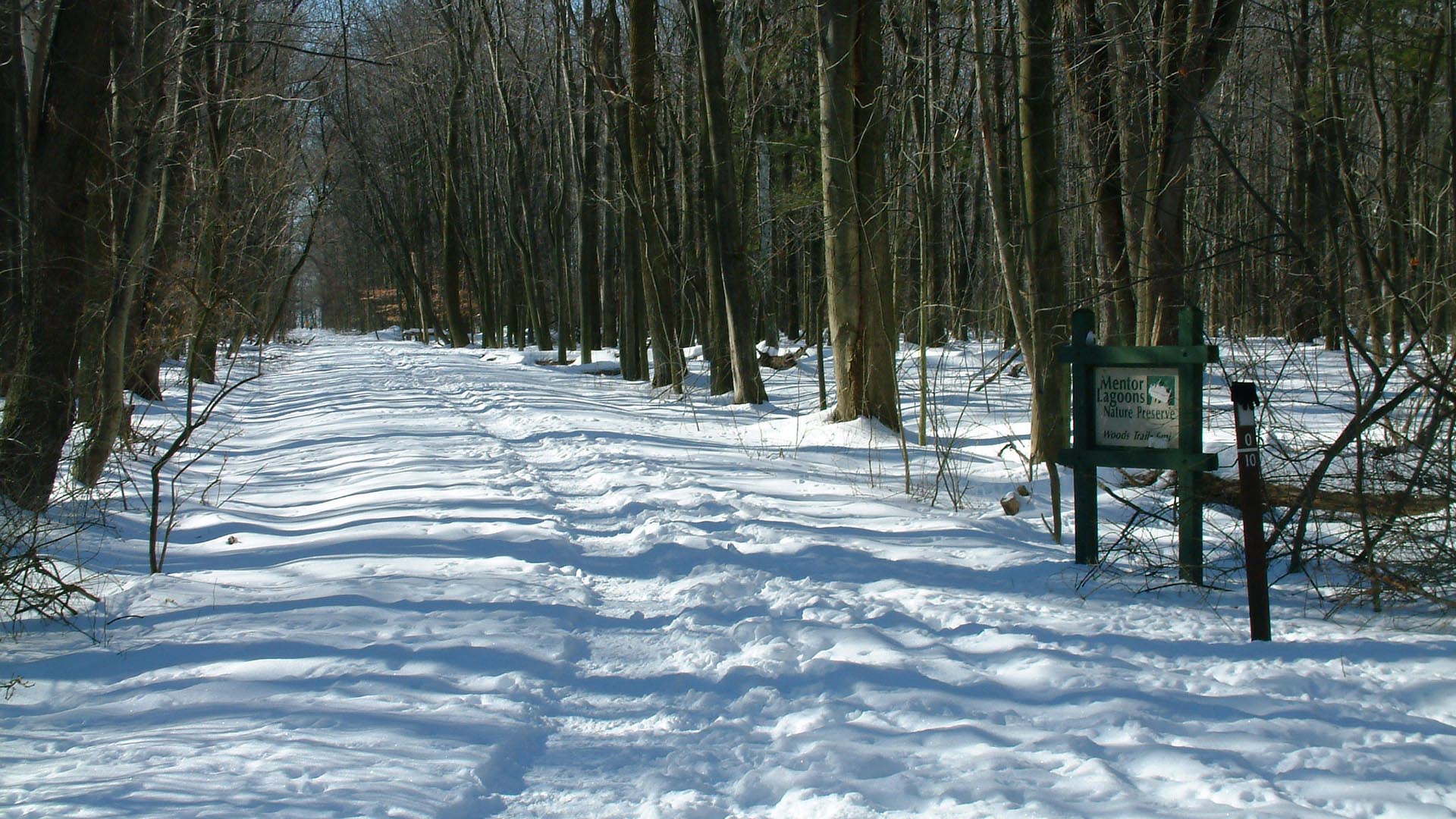Mentor Lagoons Nature Preserve Trail in Winter