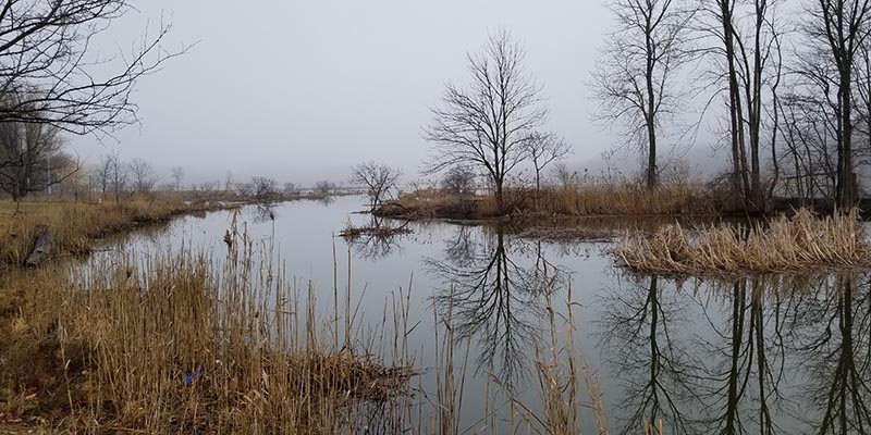 Mentor Lagoons in Winter
