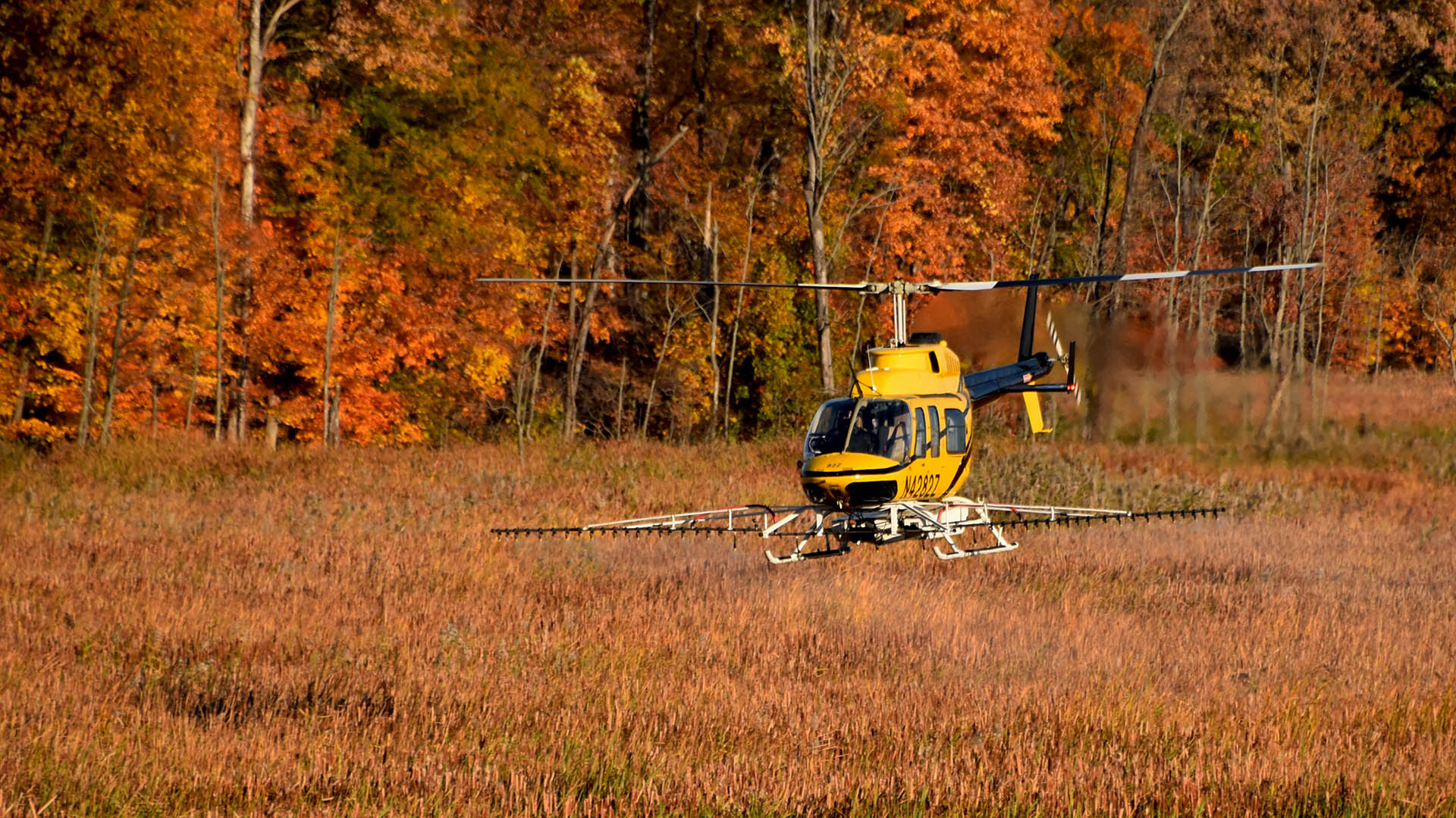 Mentor Marsh Aerial Phrag Spraying