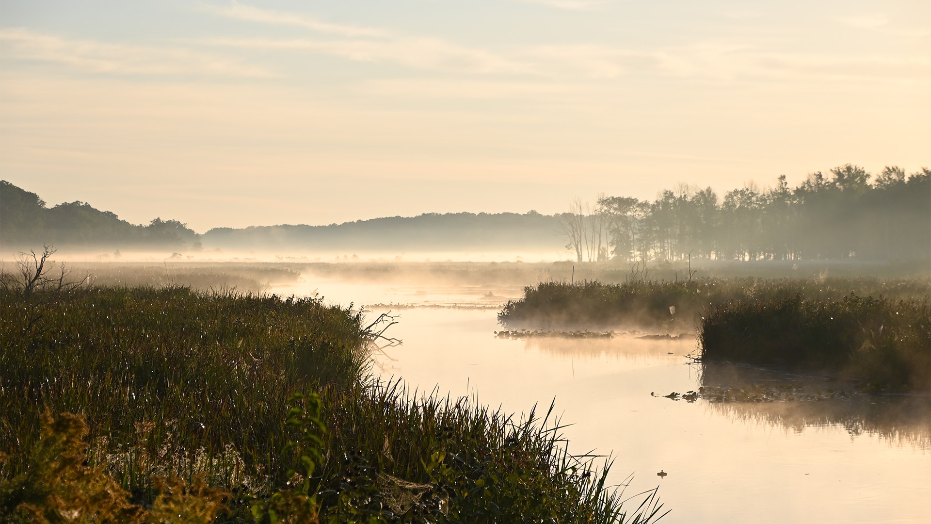 View of Mentor Marsh from Mentor Lagoons Nature Preserve. 