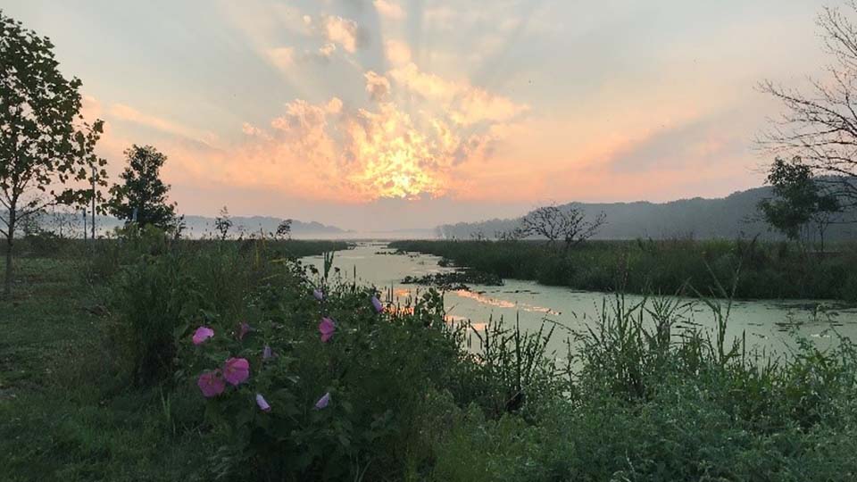 Mentor Marsh viewed from Mentor Lagoons