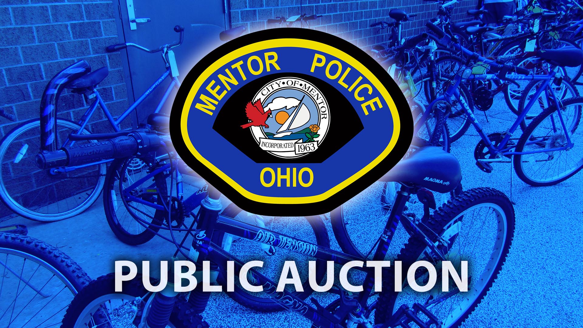 Mentor Police Department Public Auction