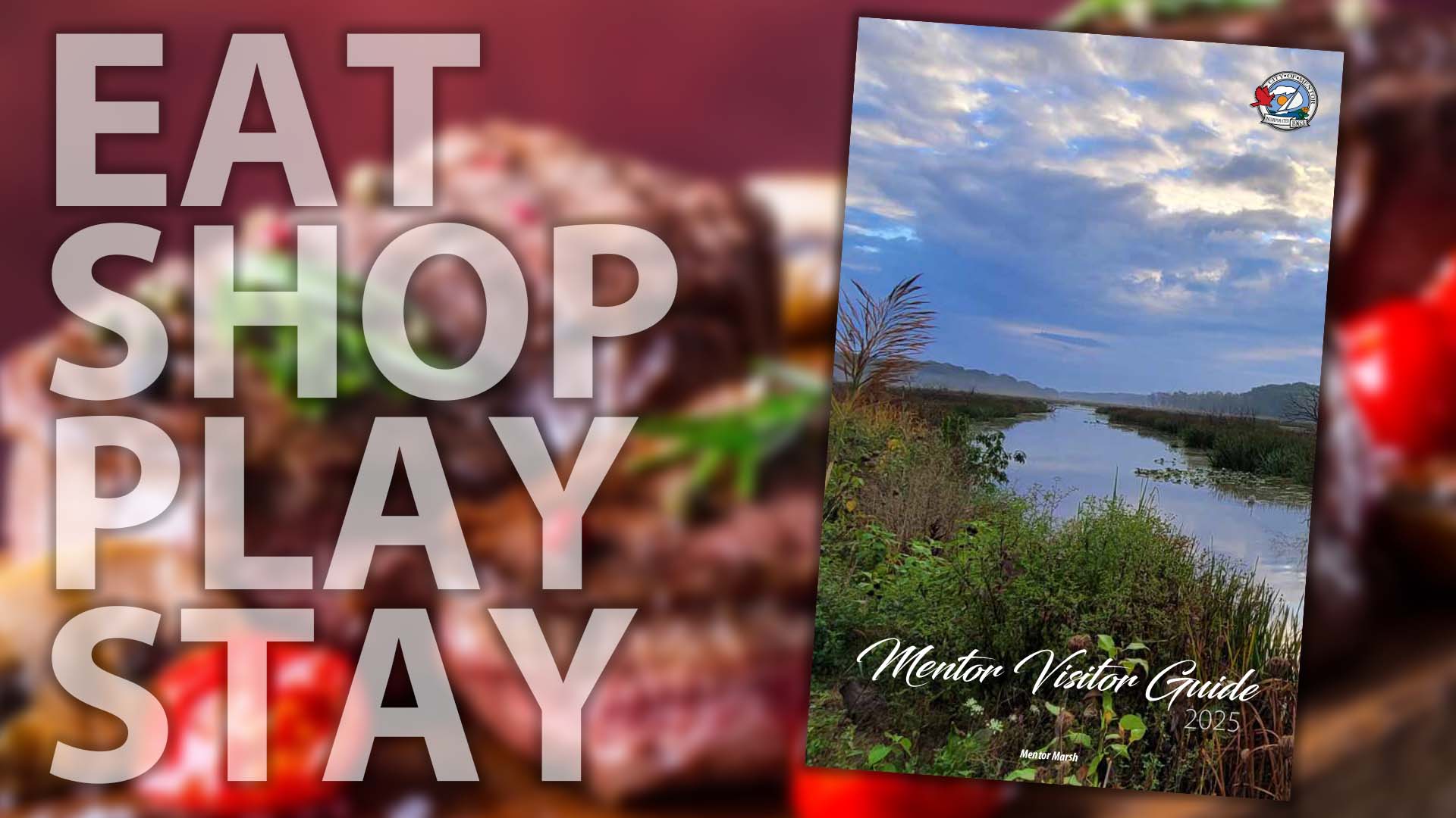 Mentor Visitor Guide 2025