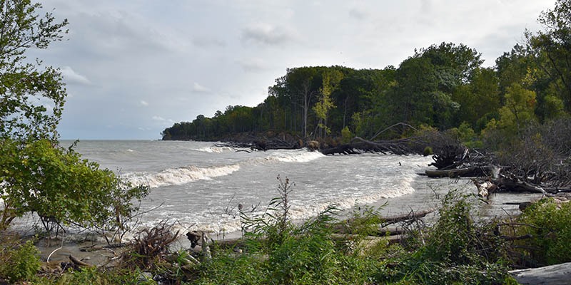 Shoreline at Mentor Lagoons Nature Preserve & Marina