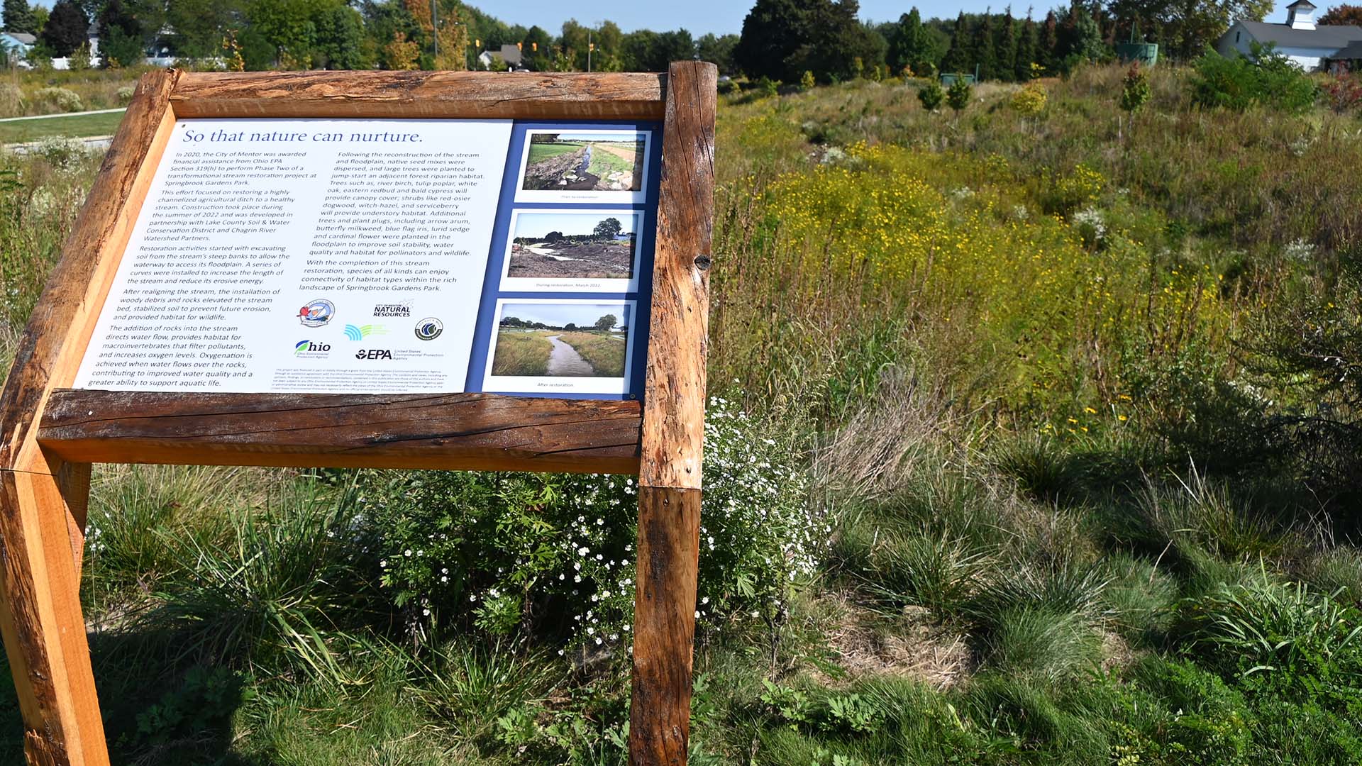 Springbrook Gardens Wetlands Restoration Project - Phase II Complete