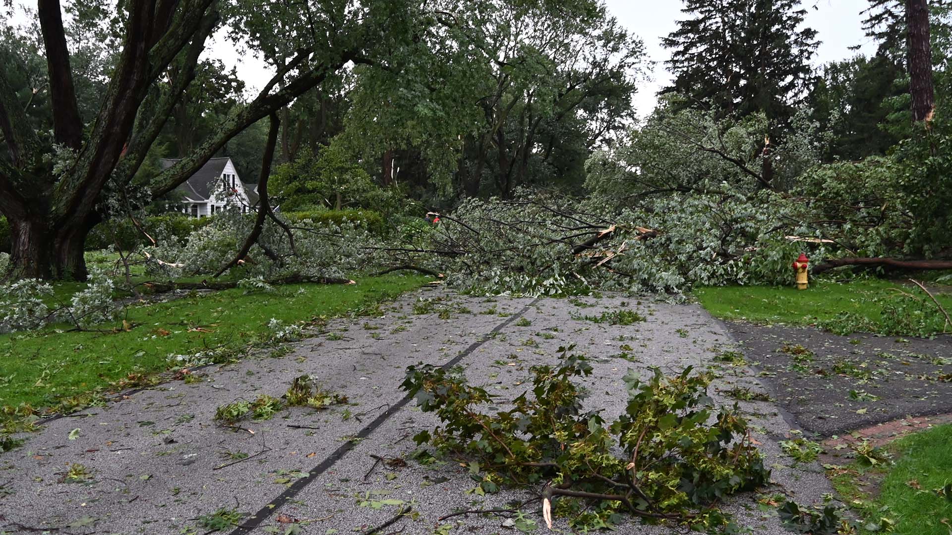 Storm Debris in Mentor