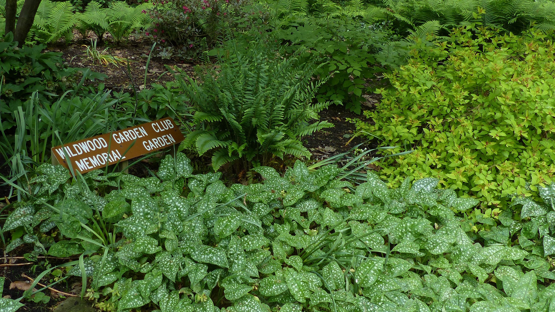 An image of the Wildwood Garden Club Memorial Garden.