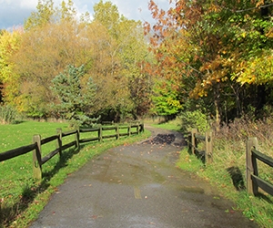 bikeway