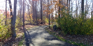 Edward R. Walsh Park walking path