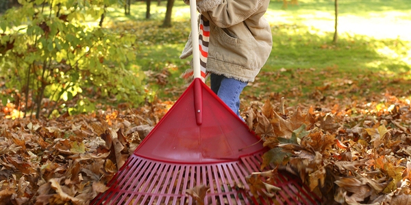 Property Maintenance