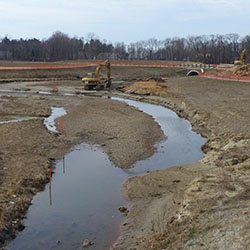 Restoration of stream at Springbrook Gardens Park